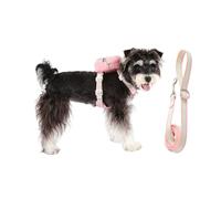 Harnais Anti-Traction pour Chien | Accessoire Pour Animal Avec Poignée Anti-Traction,Set De Harnais Et Laisse Pour Chiot,Pour Chiots Et Chiens De Toutes Tailles Pour Balades Sportives Randonnées Et Je