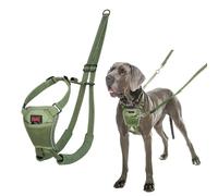 Halti Harnais anti-traction pour chien – Réfléchissant, sangles rembourrées – Taille L Vert Forêt