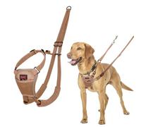 Harnais Anti-Traction HALTI - pour Que Votre Chien arrête de Tirer sur sa Laisse, Sangle de poitrail et des Pattes Avant rembourrée, Harnais pour Chiens de Taille Moyenne (Taille M, Sable du Désert)