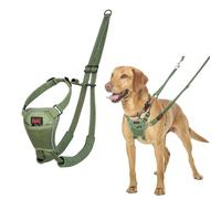 Harnais Anti-Traction pour Chien Halti | Taille M, Vert Forêt