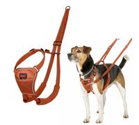 Harnais Anti-Traction pour Chien Halti | Taille S, Orange Brûlé | Pour que votre chien arrête de tirer sur sa laisse, Rembourré et Réfléchissant, Harnais pour petits chiens