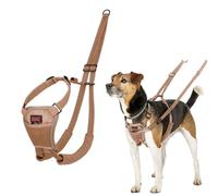 Harnais Anti-Traction HALTI - pour Que Votre Chien arrête de Tirer sur sa Laisse, Sangle de poitrail et des Pattes Avant rembourrée, Harnais pour Petits Chiens (Taille S, Sable du Désert)
