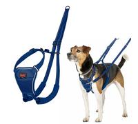 Harnais Anti-Traction HALTI - pour Que Votre Chien arrête de Tirer sur sa Laisse, Réfléchissant, Sangle de poitrail et des Pattes Avant rembourrée, Harnais pour Petits Chiens (Taille XS, Bleu Cobalt)
