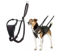 Harnais Anti-Traction pour Chien Halti | Taille XS, Noir | Pour que votre chien arrête de tirer sur sa laisse, Rembourré et Réfléchissant, Harnais pour petits chiens