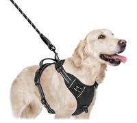 Harnais Anti-Traction pour Chien Moyen/Grand - Gilet Réfléchissant Réglable avec Poignée De Contrôle, Facile à Mettre, Livré avec Laisse, Noir, Taille L