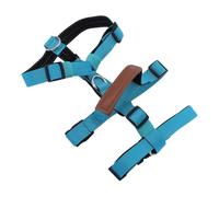 Harnais Anti-Traction pour Chien Moyen Poignée Réglable Vert | Polyester, Boucle à Dégagement Rapide, Structure Anti-fuite, Tour de Cou 38-64cm, Buste 49-71cm