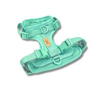 Harnais anti-traction pour chiens - Réglable et confortable - Races petites, moyennes et grandes - Promenades sûres et sans traction - La Casa de Turrón (Mint (turquoise), XS (cou 20-28 cm, poitrine