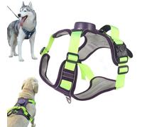 Harnais Anti-Traction refléchissant, Reflektierenden Anti-zug-geschirrs, Verstellbarer träger, avec poignée contrôl et Attache Devant, Ideal für spaziergänge und ausflüge (Green-2,S(36-46))