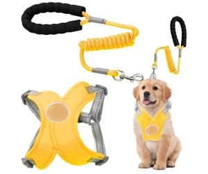 Harnais anti-traction réglable sans étranglement avec corde réfléchissante | pour animaux de compagnie 20 x 20 cm