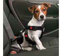 Harnais de sécurité pour voiture - Taille S / 35-50 cm pour chien Noir