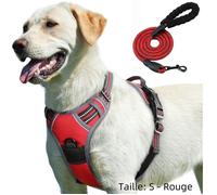 Harnais avec Laisse pour Chien, Respirant Réglable Anti Traction Réfléchissant Robuste - Rouge S