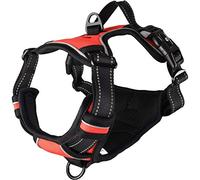 Harnais BALOU Rouge M 50-65CM 25MM