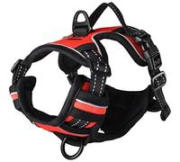 Harnais BALOU Rouge S 40-55CM 20MM