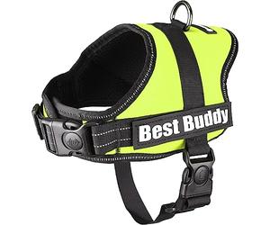 Harnais Best Buddy Pluto Neon Vert S 50-70CM*25MM