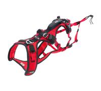 Harnais cani-randonnée cani-trail CONFORT TREK S