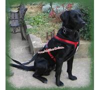 Harnais Canicross Husky Pour Chiens Taille S 1er Prix