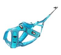 Harnais Canicross I-DOG ALM - Phoenix Harnais I-DOG ALM - Phoenix XL