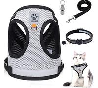 Harnais Chat Anti évasion Ensemble, Harnais et Laisses pour Chats, Colliers Harnais et Laisses pour Chats Collier Pendentif Anti-Loss Ensemble pour Chaton, Chiens, Chihuahua(Gris, L)