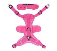 Harnais Chat Anti-Fuite Ajustable Réfléchissant Respirant Doux | Laisse Robuste pour Chaton Doux Réglable Anti-Fugue Promenade pour Chatons et Chiens de Petite