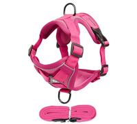 Harnais Chat Anti-Fuite Gilet Anti-Évasion Ajustable À Bandes | Harnais de Promenade pour Chat Réfléchissant Conçu dans un tissu respirant doux destiné aux chats et petit