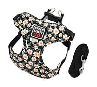 Harnais Chat Petit Chien Réfléchissant, Réglable Laisse Harnais Chaton Animal de Compagnie, Respirant Step-in Gilet Rembourré pour Chat Petit Chien (Noir)