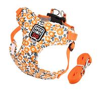 Harnais Chat Petit Chien Réfléchissant, Réglable Laisse Harnais Chaton Animal de Compagnie, Respirant Step-in Gilet Rembourré pour Chat Petit Chien (Orange)
