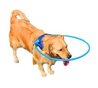 Harnais Chien Aveugle Avec Halo Réglable Anti-collision, Collier Anti-collision For Animaux De Compagnie, Protection Du Visage, Accessoires De Sécurité For Chiens De Petite(X-Large)