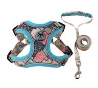 Harnais Chien et Laisse, Harnais pour Chien Anti-Traction, Facile à Mettre, Respirant Durable, Réfléchissant Nylon Souple Réfléchissant Réglable Harnais Chien pour Petite Chiens pour Marcher Courir-S