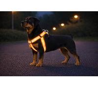 Chien Harnais Step&Go Fierro Orange Fluo XL 60-90cm 60-90cm 25mm