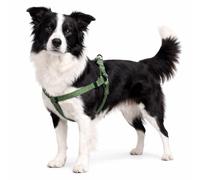 Harnais Chien - Harnais Step&Go Ziggi Kaki - Taille L - 40-70 cm / 40-70 cm - Nylon réglable - Double Anneaux