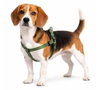 Harnais Chien - Harnais Step&Go Ziggi Kaki - Taille M - 35-60 cm / 35-60 cm - Nylon réglable - Double Anneaux