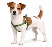 Harnais Chien - Harnais Step&Go Ziggi Kaki - Taille S - 25-45 cm / 25-45 cm - Nylon réglable - Double Anneaux