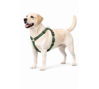 Harnais Chien - Harnais Ziggi Kaki H-Forme - Taille L - 60-85 cm / 70-100 cm - Nylon réglable - Anneau métal Nickel