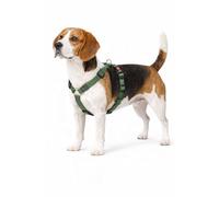 Harnais Chien - Harnais Ziggi Kaki H-Forme - Taille M - 45-65 cm / 55-70 cm - Nylon réglable - Anneau métal Nickel