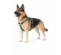 Harnais Chien - Harnais Ziggi Kaki H-Forme - Taille XL - 70-110 cm / 85-120 cm - Nylon réglable - Anneau métal Nickel