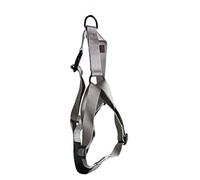 Harnais chien nylon - Gris, 50-70 x 2cm