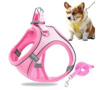 Harnais Chien Petit, Harnais pour Chiot Harnais réglable et réfléchissant avec Gilet rembourré épais Réfléchissant, Convient aux Chiots et aux Chatons (Rose, S)