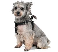 Harnais Chien Petit Moyen Grand Taille Harnais en Cuir Réglable Léger Harnais de Poitrine Souple Harnais Animal Domestique (M, Noir)