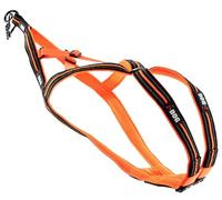 Harnais Chien Sport X-Back One Orange Encolure et Dos réglable pour activité CANICROSS, la Marque I-DOG est Une Marque Française. (5XS)
