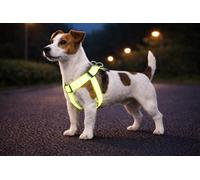 Harnais Chien - Step&Go Fergu Fluo Jaune S - A:25-45 cm B:25-45 cm - 15 mm - Nylon réglable