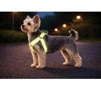 Harnais Chien - Step&Go Fergu Fluo Jaune XS - A:20-35 cm B:20-35 cm - 10 mm - Nylon réglable