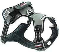 Harnais Chien Style Ultra Polyvalent idéal pour Les promenades en Campagne et Les balades citadines, avec possibilité de cani Jogging et Anneau Anti Traction Avant Couleur Gris (s)