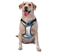 Harnais circulaire pour chien avec colonne d'eau et fleurs, équipé de sangles réfléchissantes pour animaux de compagnie et de boucles à dégagement rapide, convient à tous les types de chiens