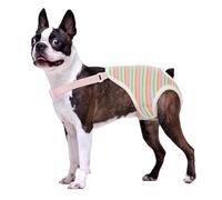 Harnais confortable pour chien avec sangle d'épaule pour activités extérieures et intérieures