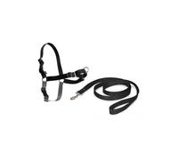 PetSafe Harnais Easy Walk avec Boucle Anti-Traction Et Laisse De 1,8 M, Promenade Confortable pour Vous Et Lui - 4 Points De Réglage – Résistant, Facile À Mettre Et Enlever – Noir, Taille L