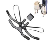 Harnais d'assistance pour chien - Modèle avec poignée résistante, réglable, élastique et confortable, idéal pour soutenir les pattes arrière pour faciliter la mobilité des animaux | Intérieur et