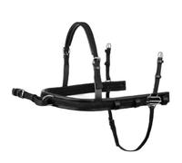 Harnais d'attélage cheval Lexhis Berlin Doble Noir Cob