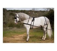 Harnais d'attélage cheval Lexhis Kiel Noir Shetland