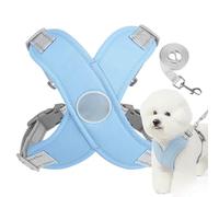 Harnais de câblage pour chien - Grand chien - Ceinture anti-traction - Petits objets réfléchissants pour l'entraînement, la randonnée de nuit