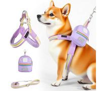Harnais de câbles et sangles pour chien, gilet réglable pour animaux de compagnie, équipement d'entraînement de sécurité, pas de kit de contrôle de traction, accessoire de promenade confortable, sac